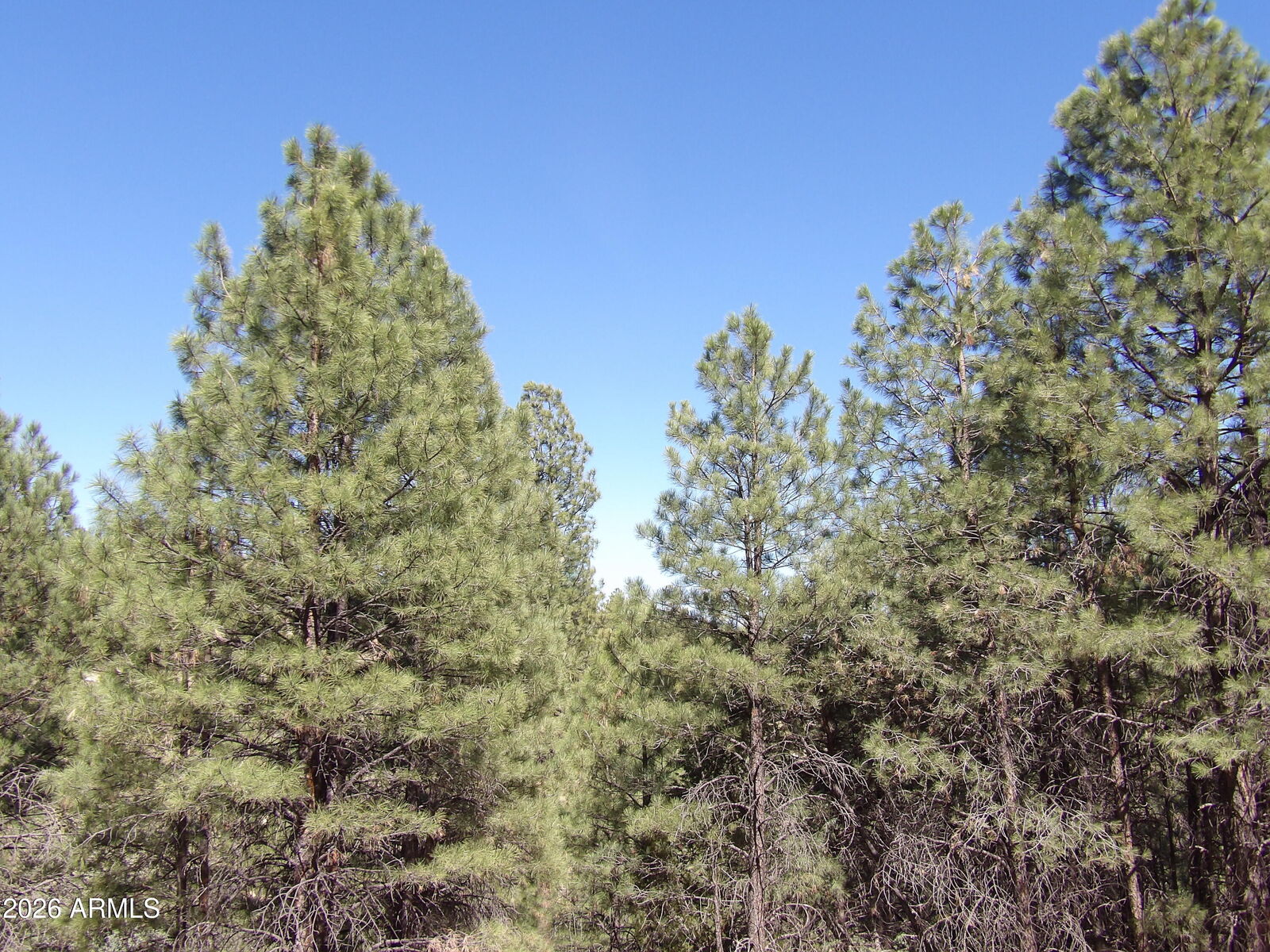 Property Photo:  1601 Moqui Drive 77  AZ 86024 
