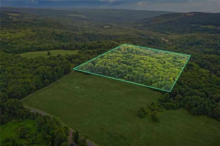 Property Photo:  0 Slators Lane  NY 14867 