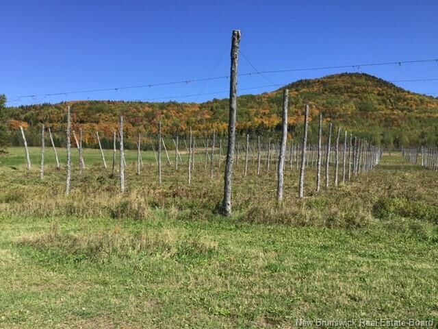 Property Photo:  116 Maplehurst Road  NB E7J 1S1 