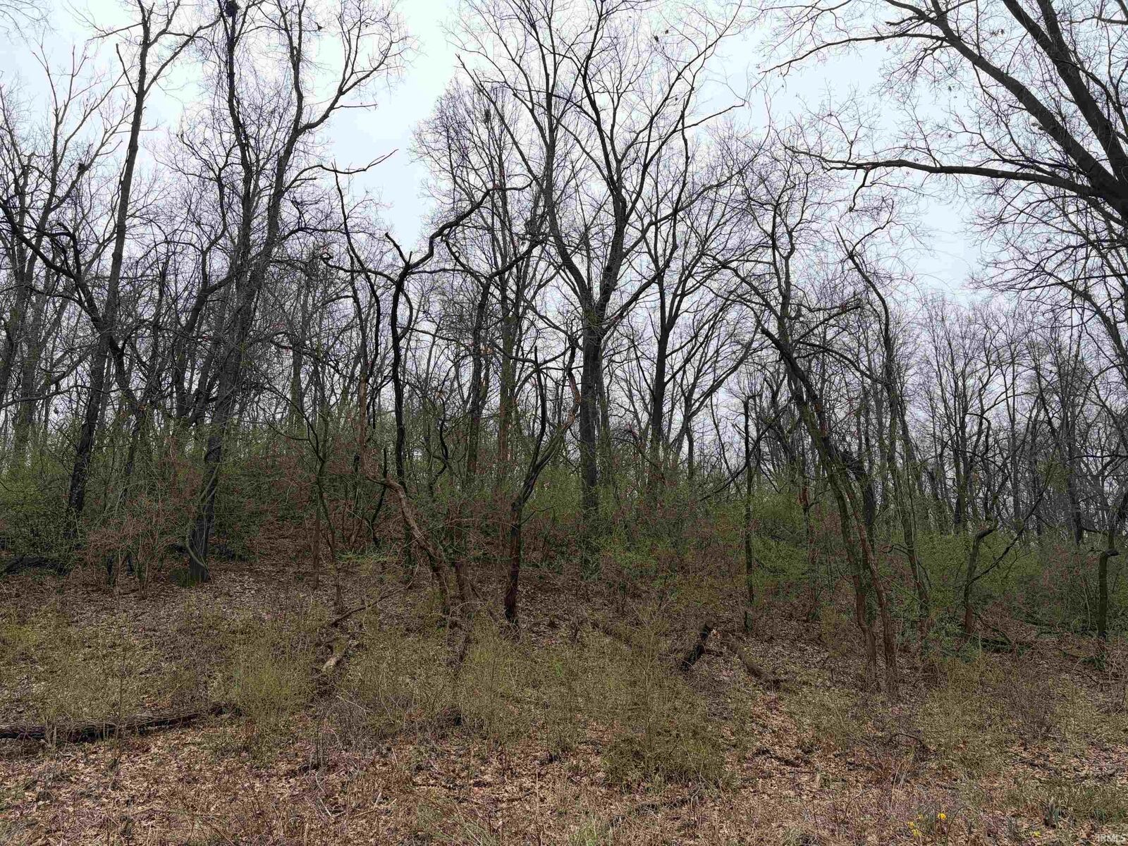 Property Photo: 0000 Berry Street IN 46540