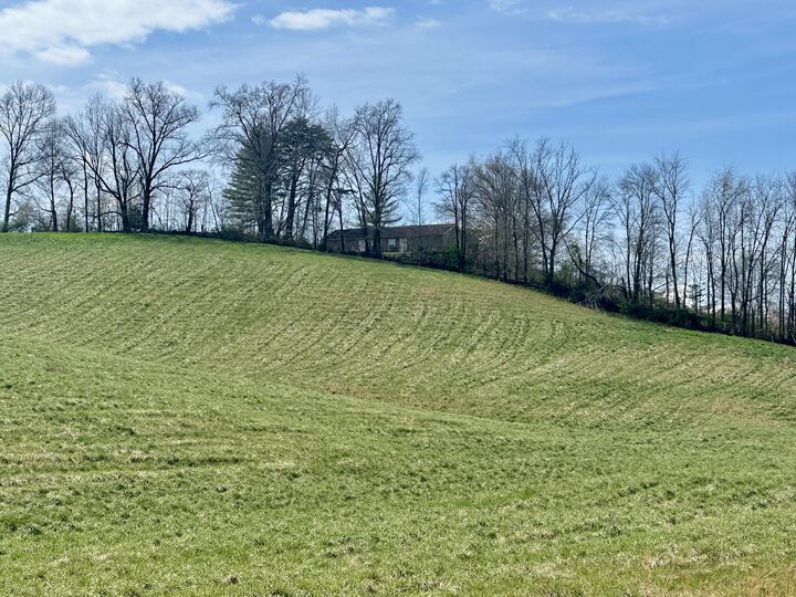 Property Photo: 133 Jaguar Way KY 40741