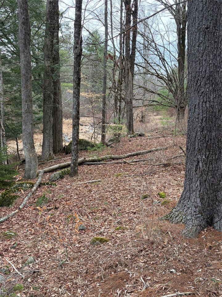 Property Photo:  378 Gregory Road  NY 12701 