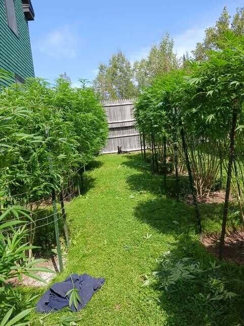 Property Photo:  130 Farmers Hill Road  ME 04216 