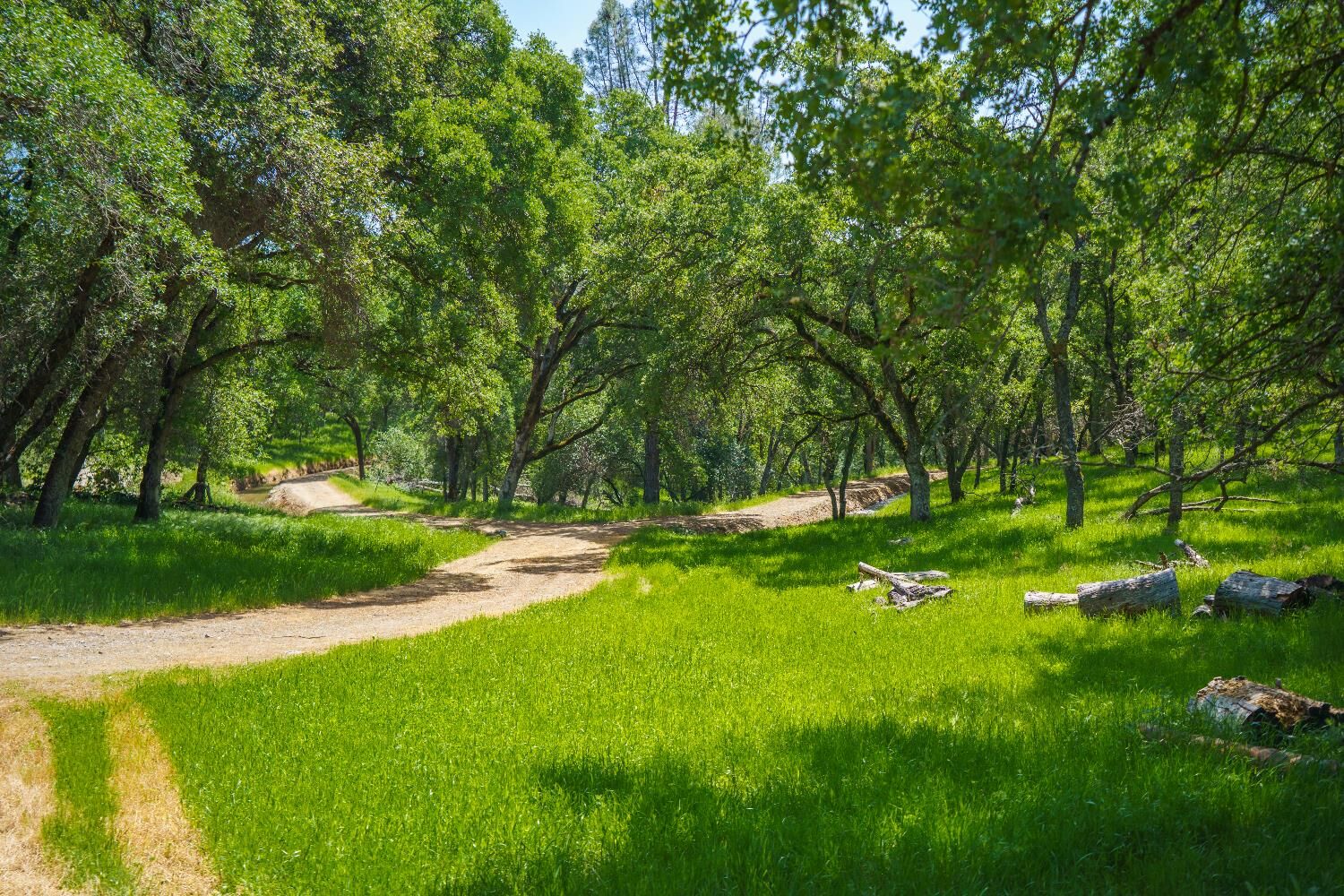 Property Photo:  5885 Johnson Drive  CA 95648 