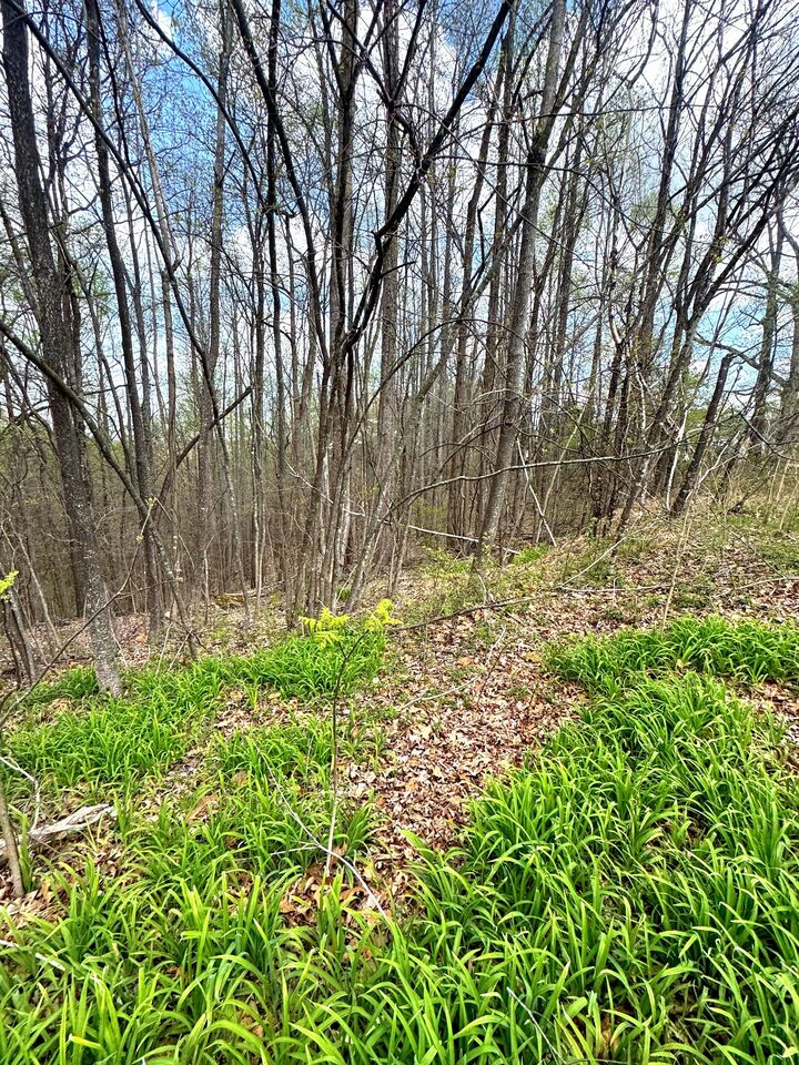 Property Photo:  0 Coconut Ridge Rd  TN 37166 