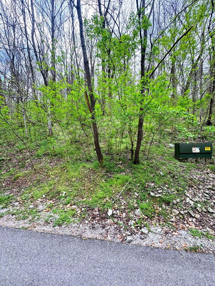Property Photo:  0 Lakeview Dr  TN 37166 
