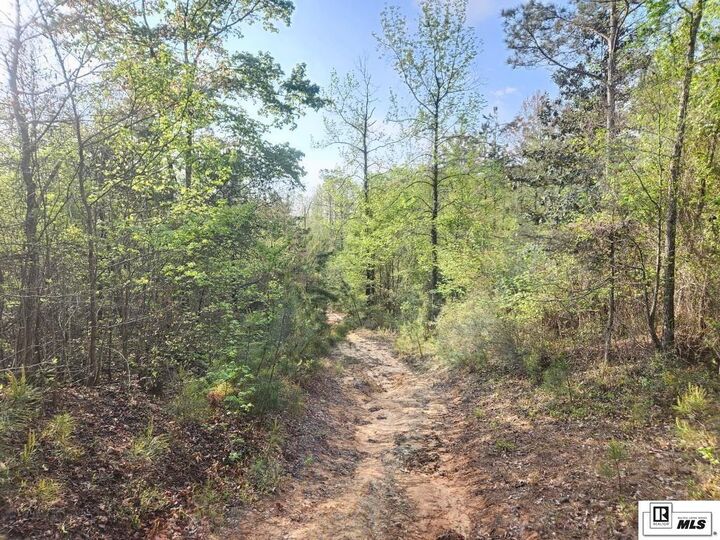 Property Photo: 0 Lapine Road LA 71292