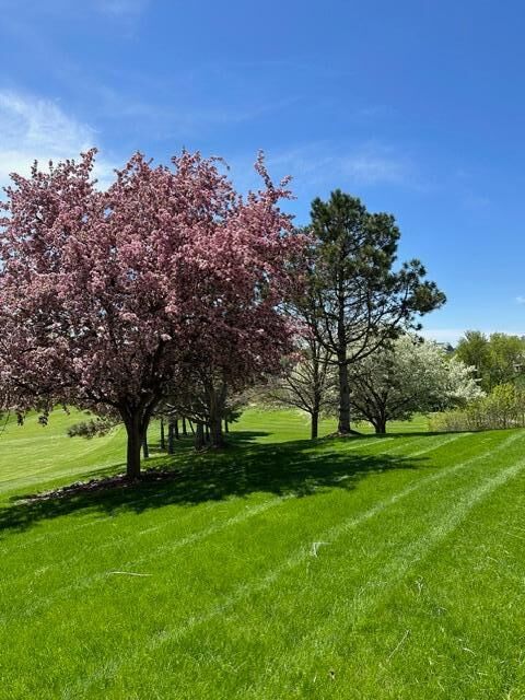 Property Photo:  2065 Woodstone Court  MN 55386 