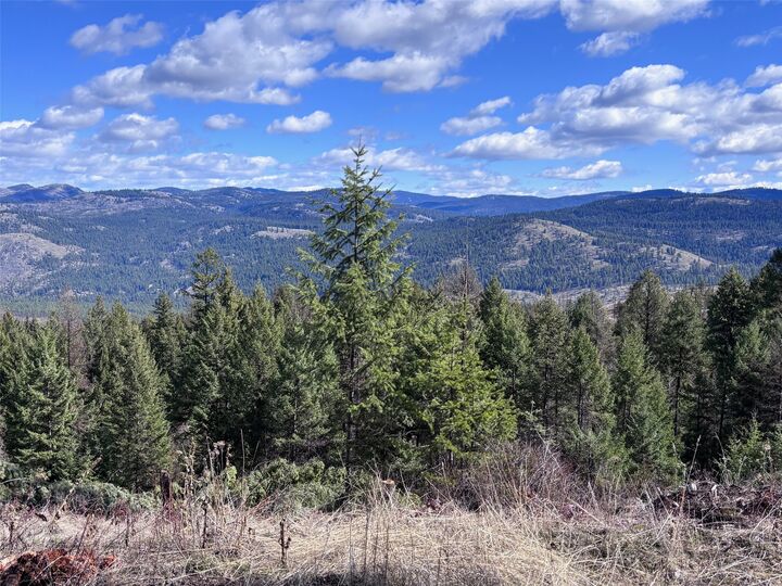 Lot 5 Hulme Creek Road — photo 1