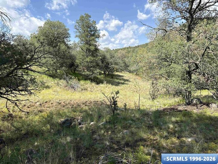 Property Photo:  Xy Black Dog Road  NM 88061 