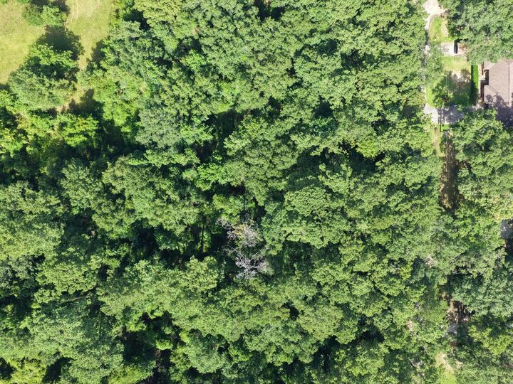 Property Photo:  137 Marilyn  TX 77657 