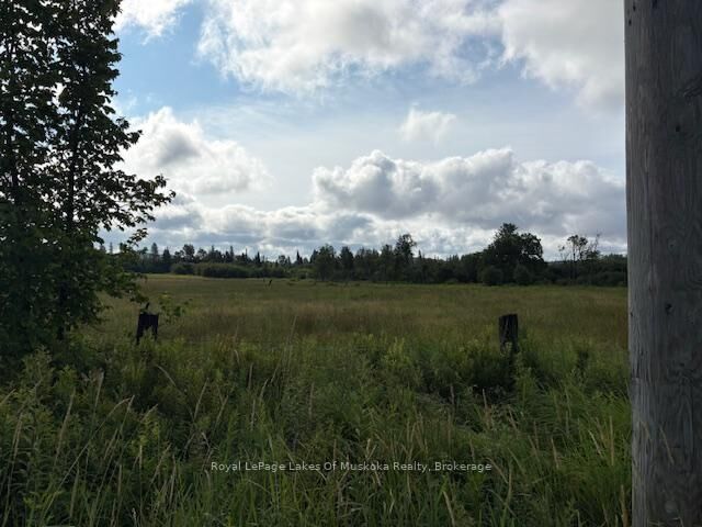 Property Photo: 0 Old Muskoka To The West Side Of #1105 Road ON P0B 1M0