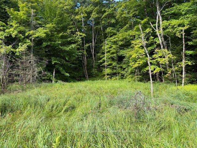 Property Photo:  1788 Old Muskoka Road  ON P0B 1M0 