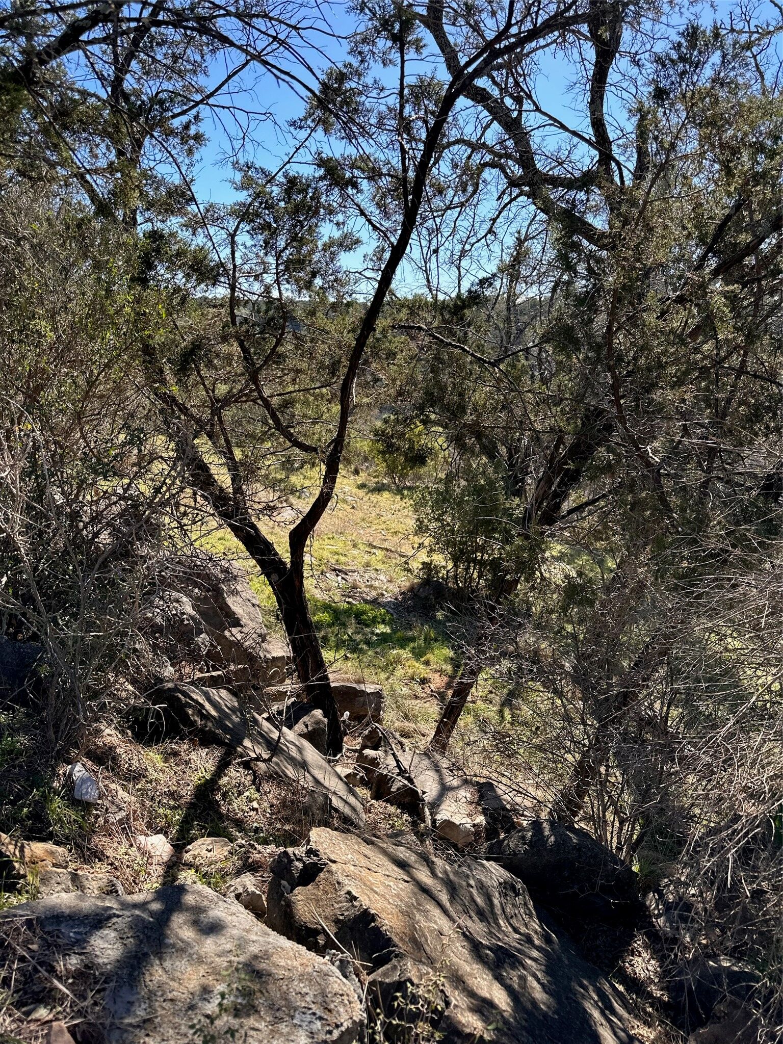 Property Photo:  301 Yucca Drive  TX 78657 