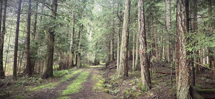 Property Photo: 392 Campbell Bay Road BC V0N 2J1