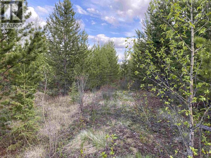 Property Photo:  Blk C 94 Mile Frontage Road  BC V0K 2E2 