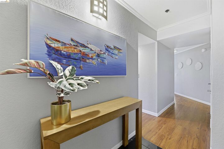 Property Photo:  535 Pierce 5203  CA 94706 