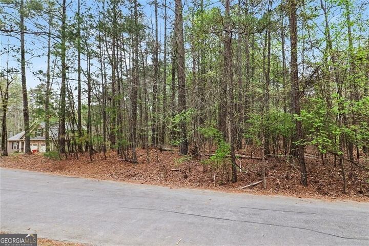 Property Photo:  3115 Fairmond Court  GA 30180 