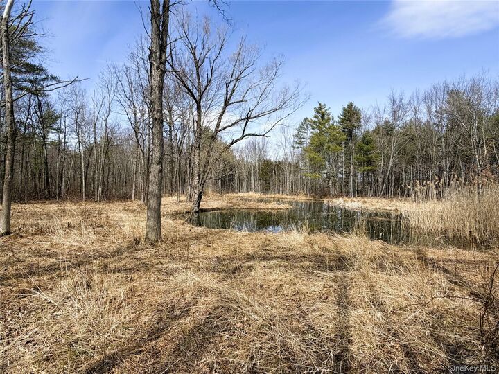 Property Photo:  Tbd Frank Hitchcock Road  NY 12413 