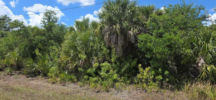 Property Photo:  6979 Treadway Road  FL 33981 
