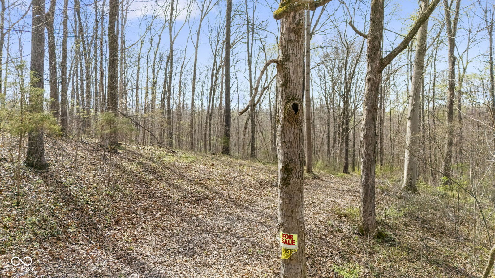 Property Photo:  4805 W County Road 400 S  IN 47265 