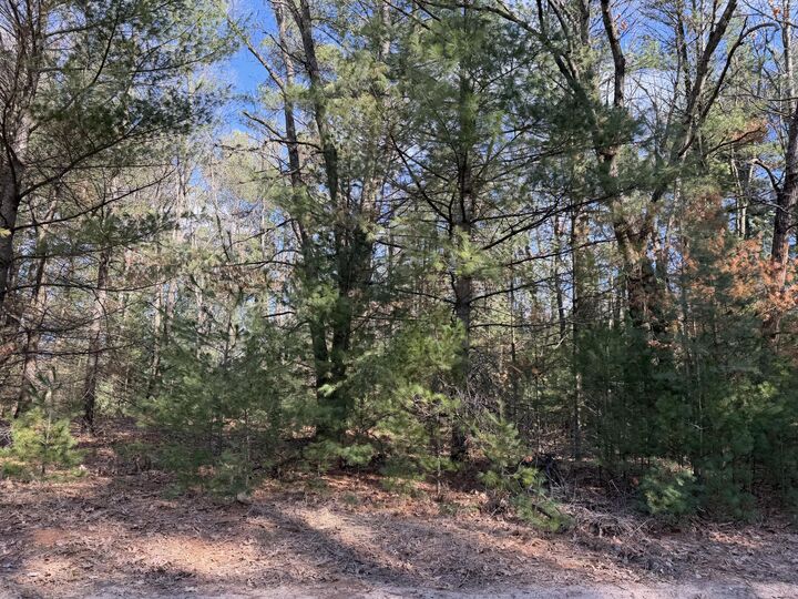 Property Photo: S Atwater MI 49349