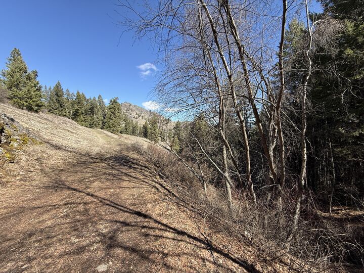 Property Photo:  Tbd Coogan Creek Dr  WA 98859 