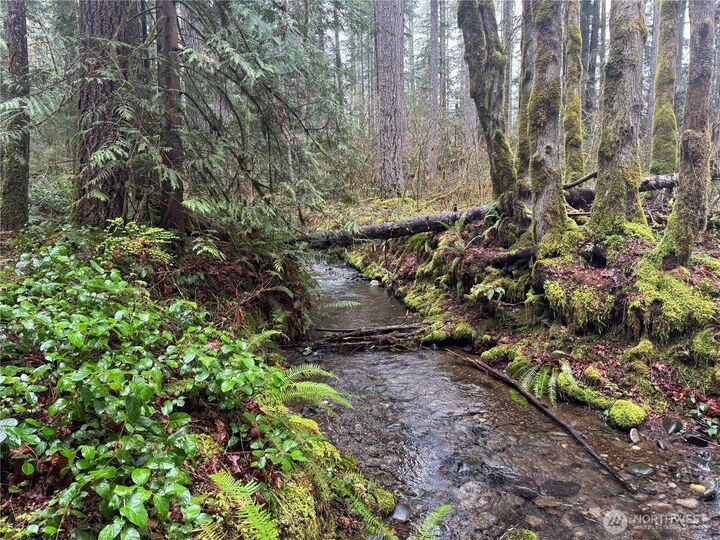 Property Photo:  300 N Mount Jupiter Drive  WA 98548 