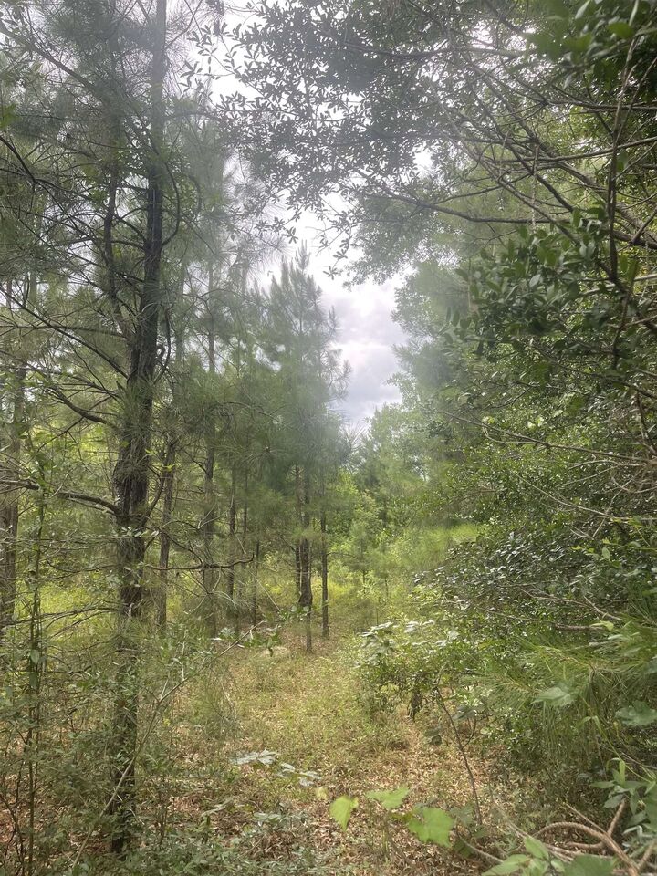 Property Photo:  02 Cr 4595  TX 77616 