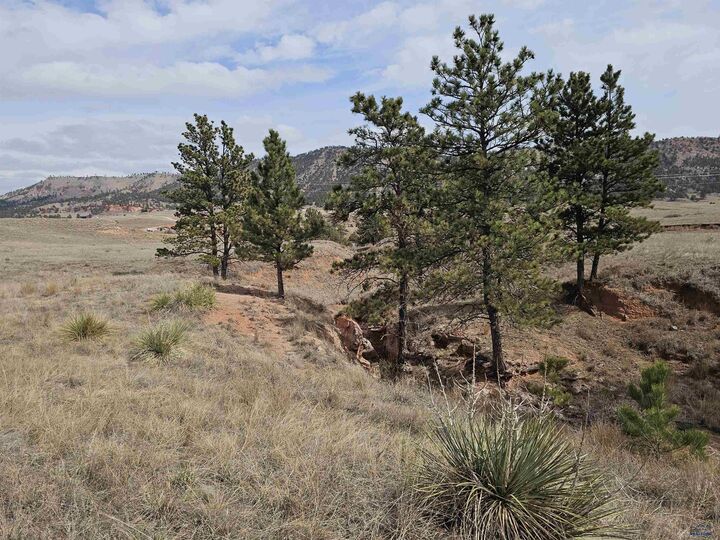 Property Photo:  Lot 3B Other Lot 3B Sheps Heights Rd  SD 57747 