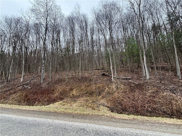 Property Photo: 9446 County Route 9 NY 14809