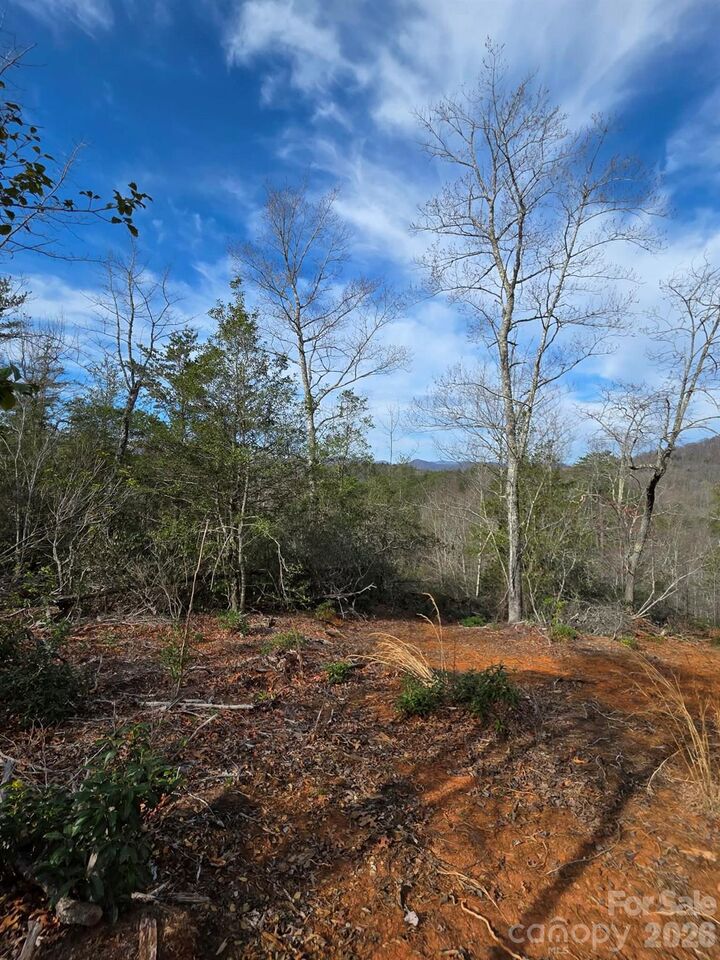 Property Photo: Lot 9 Kerlee Lane NC 28762
