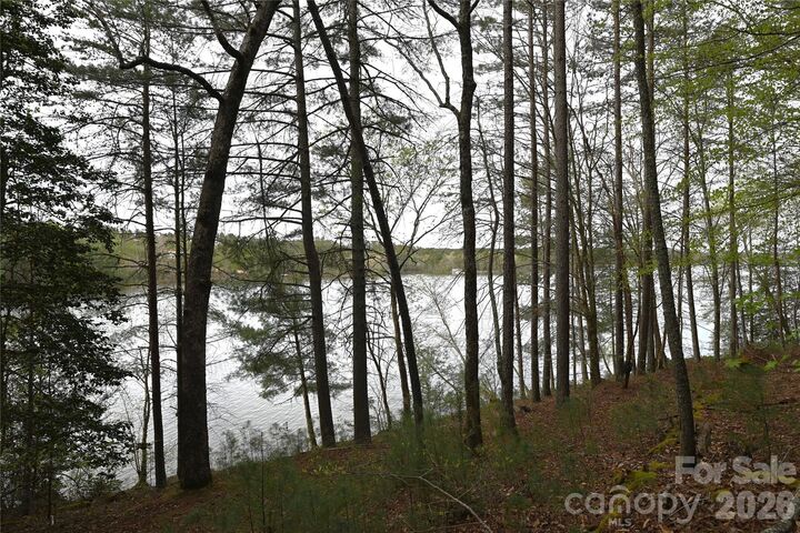 Property Photo:  2299 Lighthouse Lane 76  NC 28612 