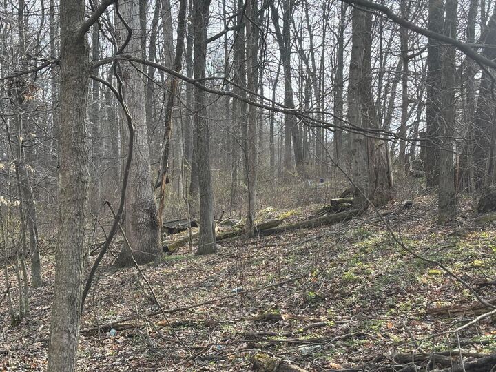 Property Photo: 17951 E Shady Lane Road OH 44822