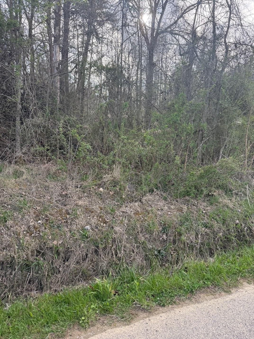 Property Photo: 97.32 Griffith Road TN 37367