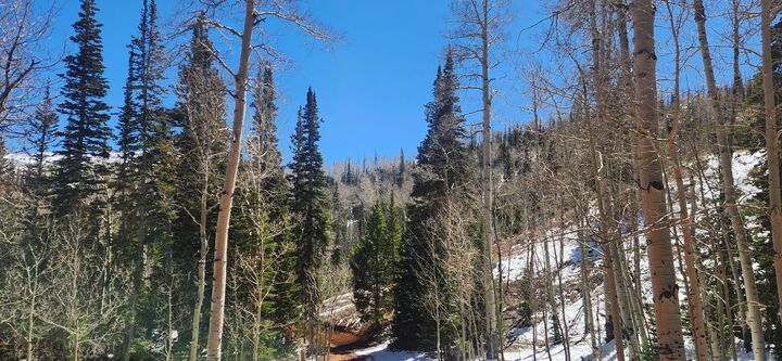 Property Photo:  590 W Kokopelli  UT 84719 