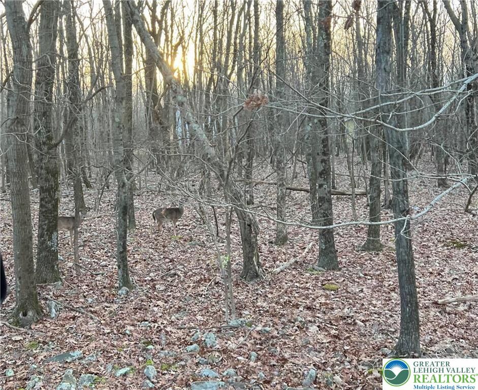Property Photo: 121 Piute Trail Cp1002 PA 18210