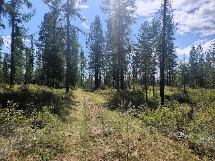 Property Photo:  3669 E Jumpoff Rd  WA 99181 