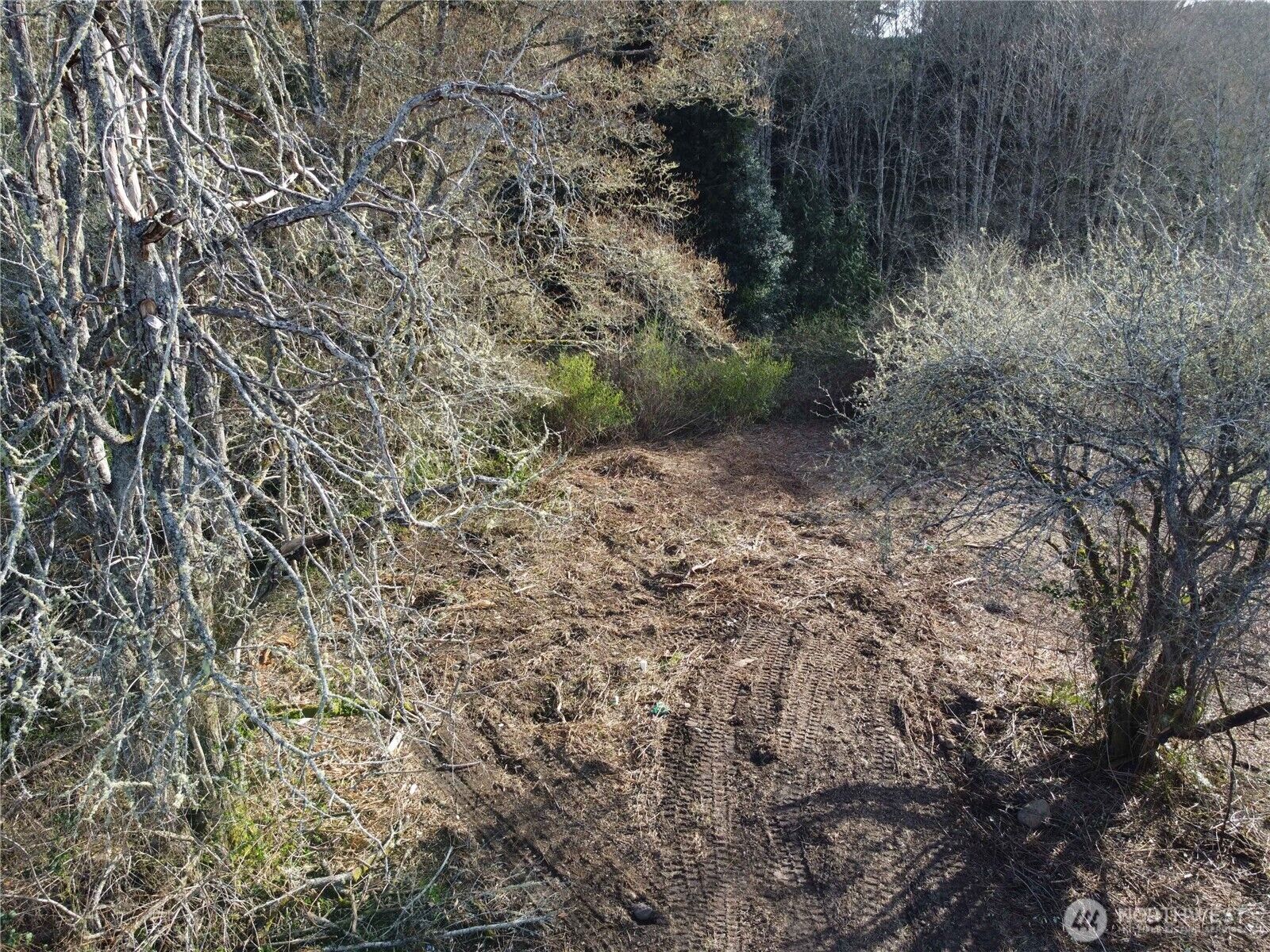 Property Photo:  0 Xxx  Embody Road  WA 98365 