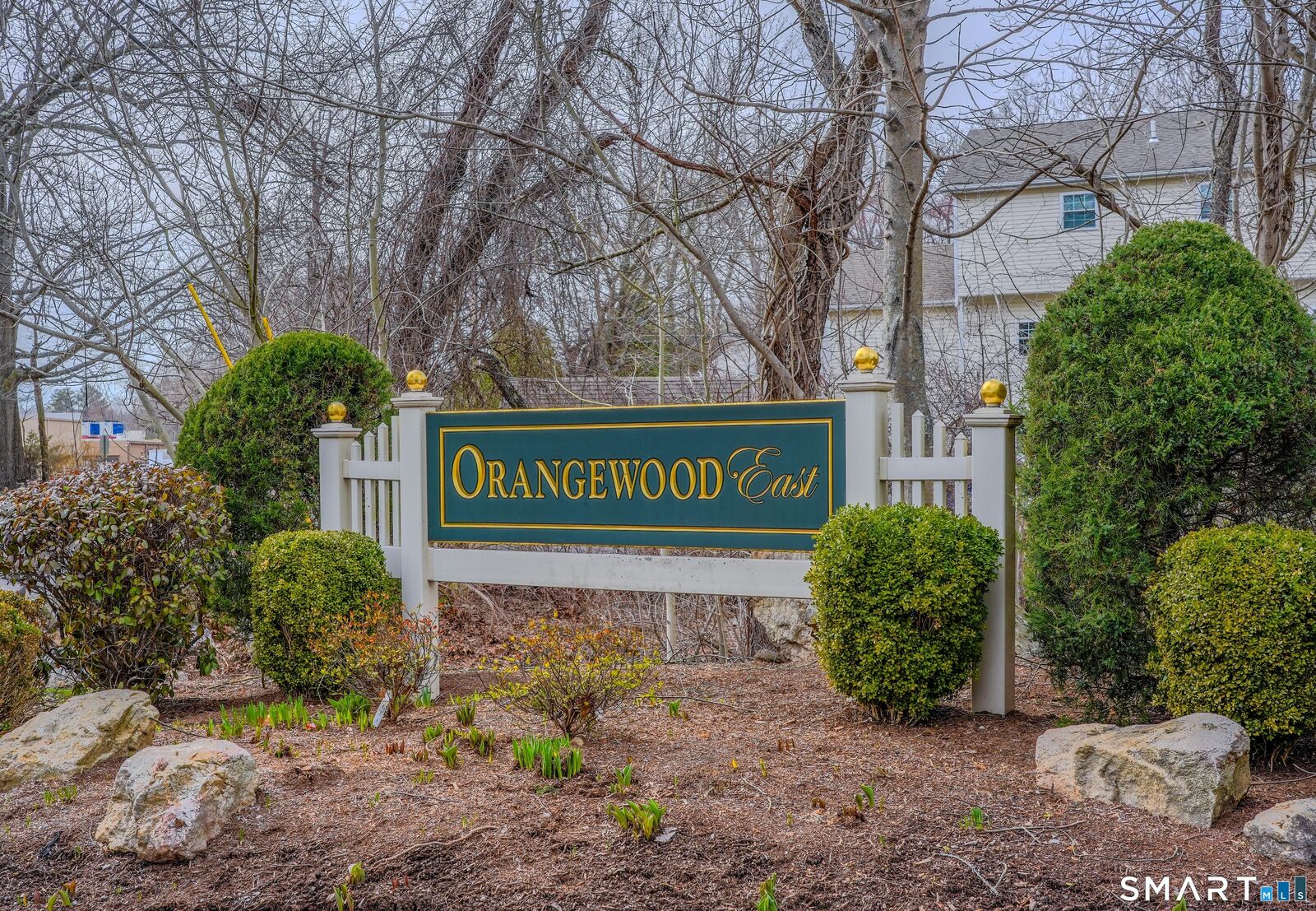 Property Photo: 233 Shagbark Drive 233 CT 06418