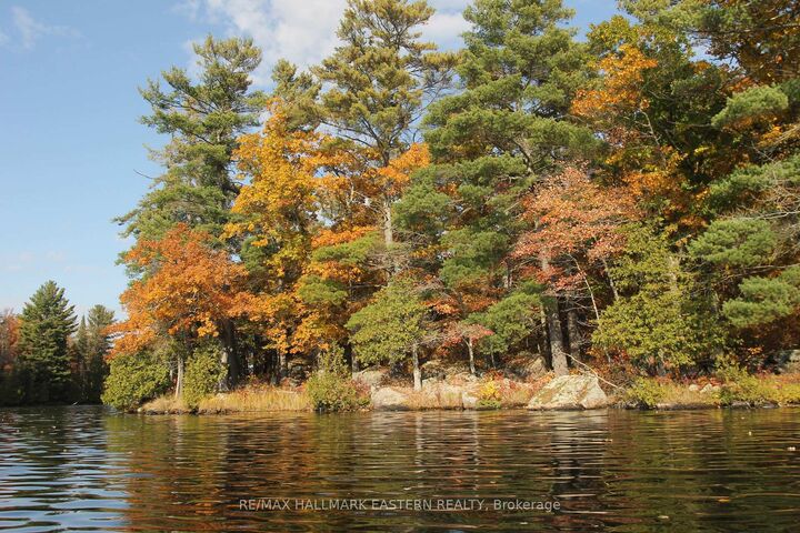 Property Photo:  C280 Lower Buckhorn Lake N/A Lot 1  ON K0L 1J0 
