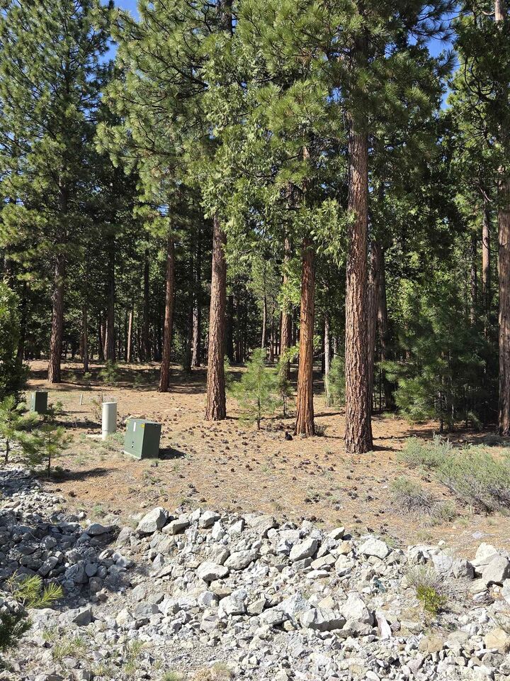 Property Photo:  762 Blacktail Ridge  CA 96122 