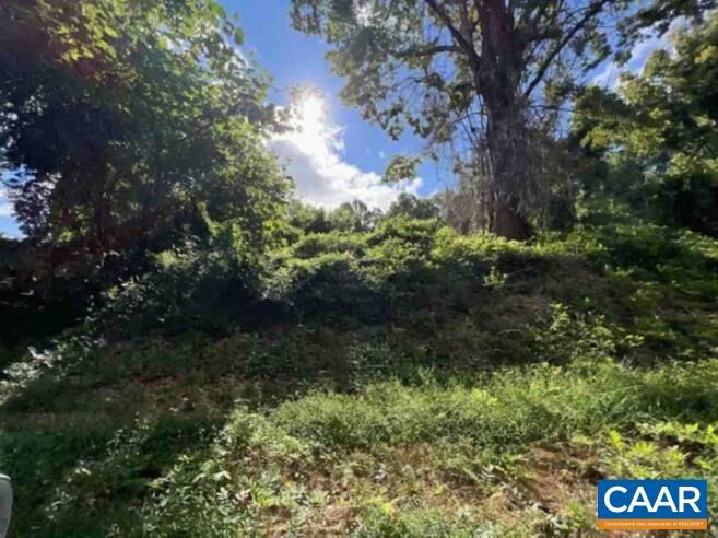 Property Photo:  Tbd Dry Bridge Rd  VA 22903 