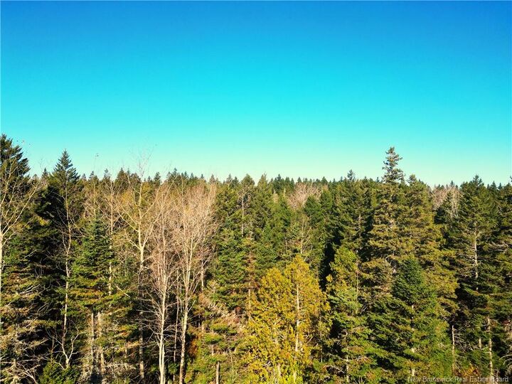 Property Photo:  Lot 85-18 Harbour Heights Drive  NB E5E 1H9 