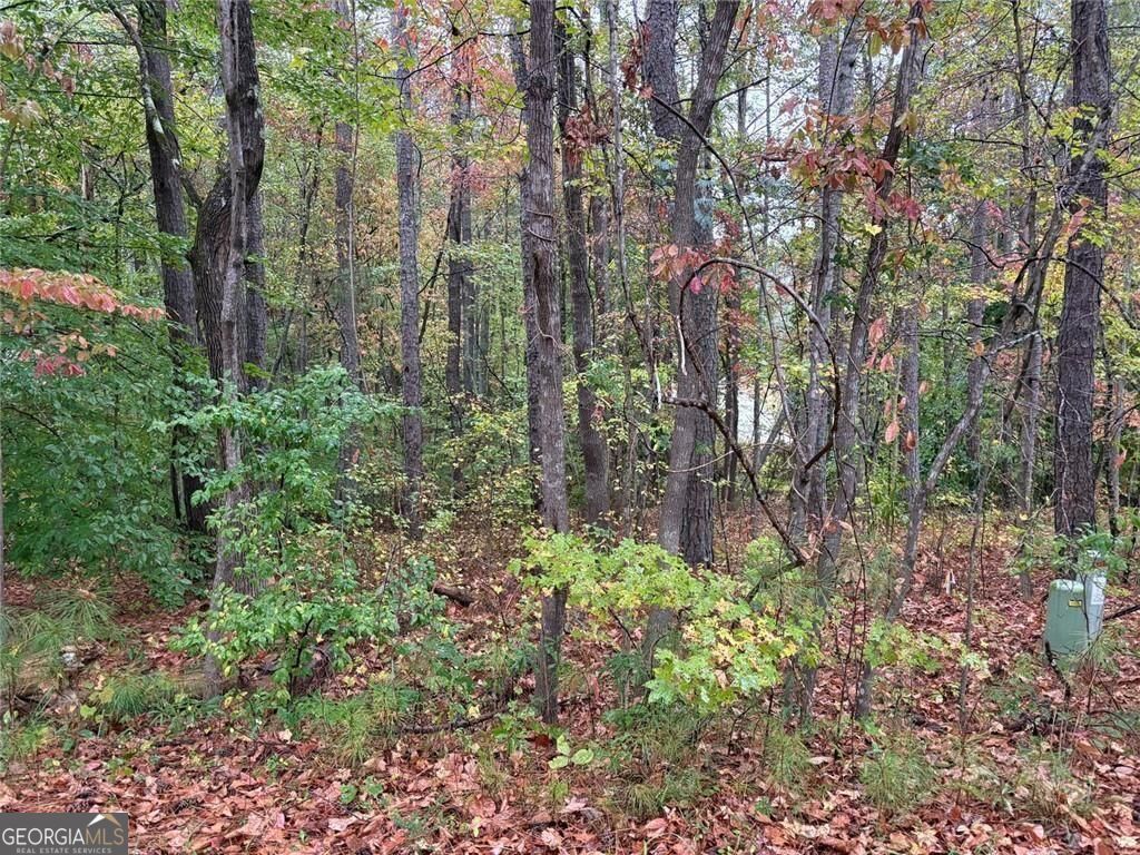 Property Photo:  2313 Larchmont Court  GA 30180 