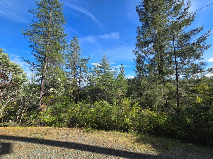 Property Photo:  0 P C Lane  CA 95713 