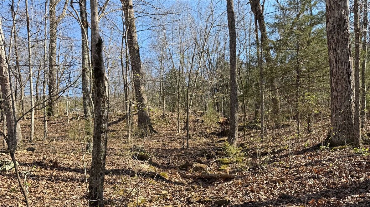 Property Photo:  Madison Co 5430 Road  AR 72727 