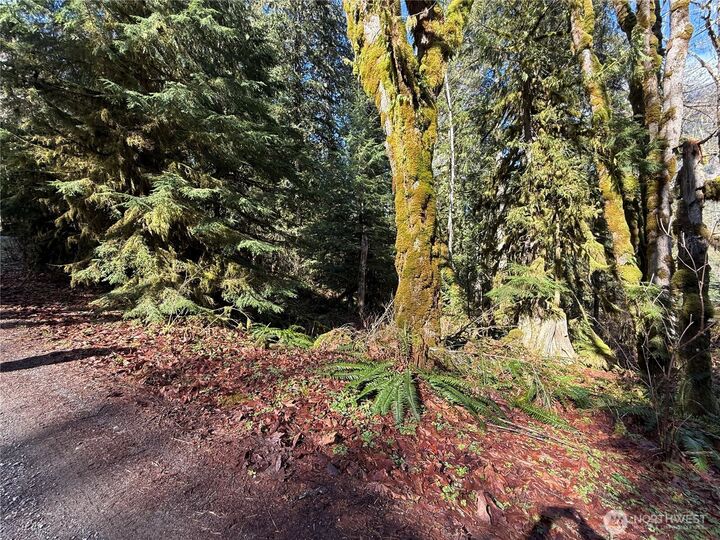 Property Photo:  0  High Ridge Drive  WA 98267 