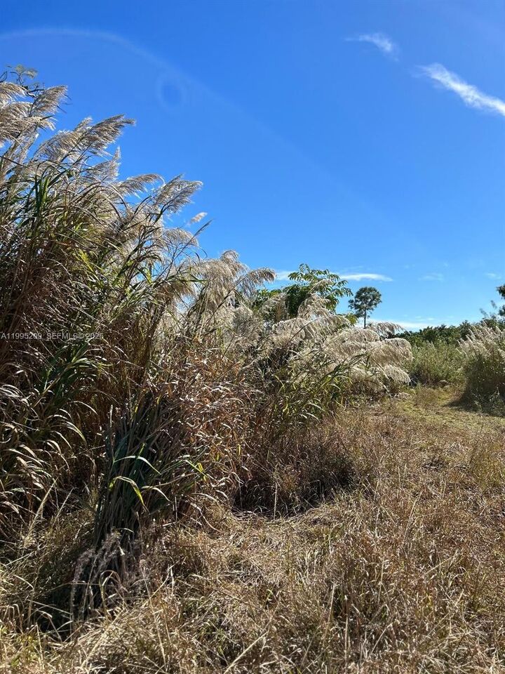 Property Photo:  21861 SW 112th Ct  FL 33170 