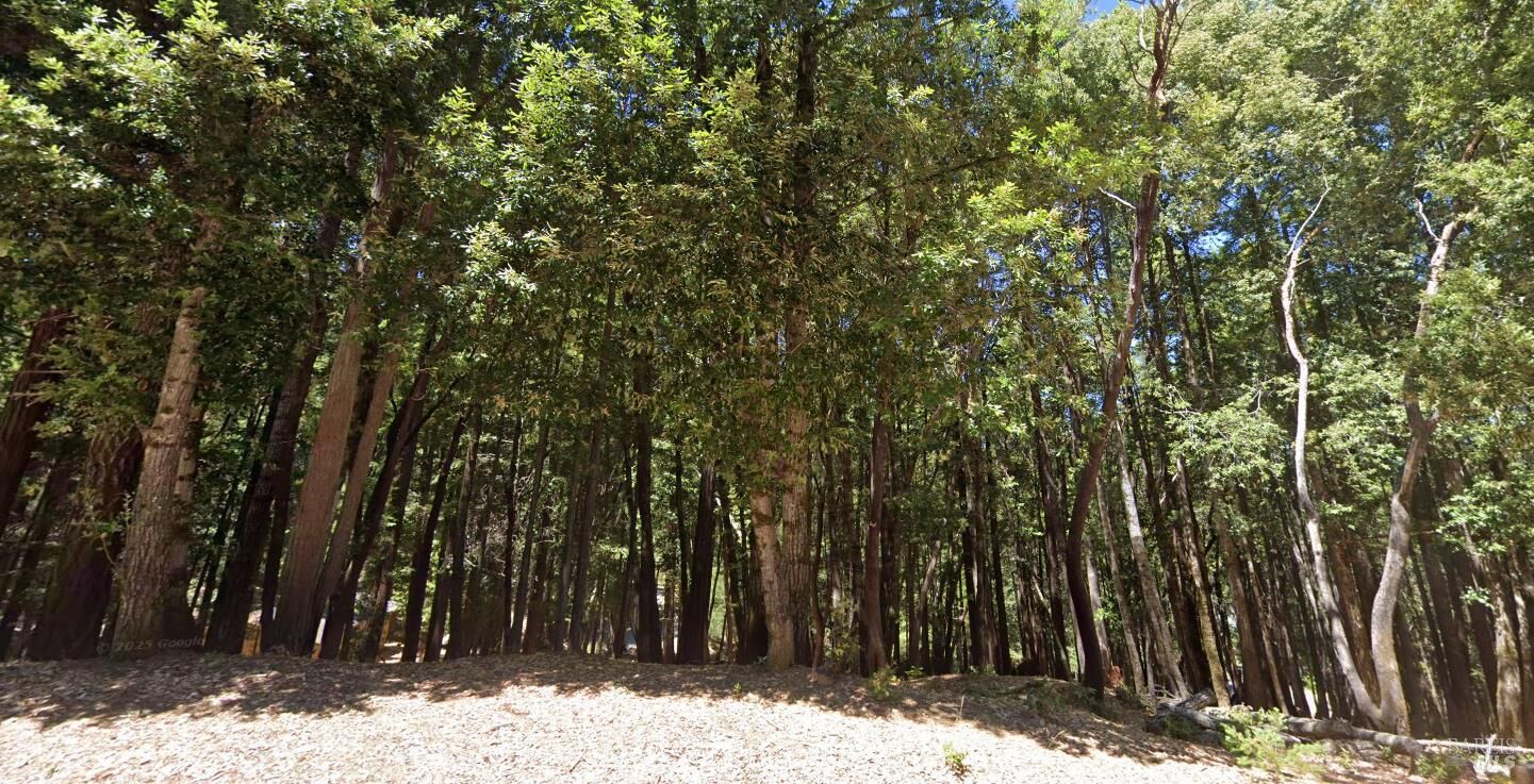 Property Photo:  24230 Cypress Drive  CA 95490 